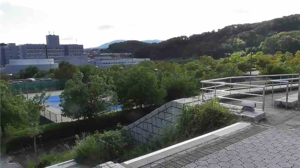 日本留学托福分数要求，详解托福分数标准