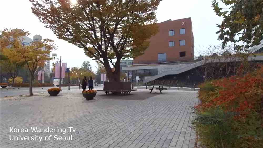 韩国留学找兼职工作的途径