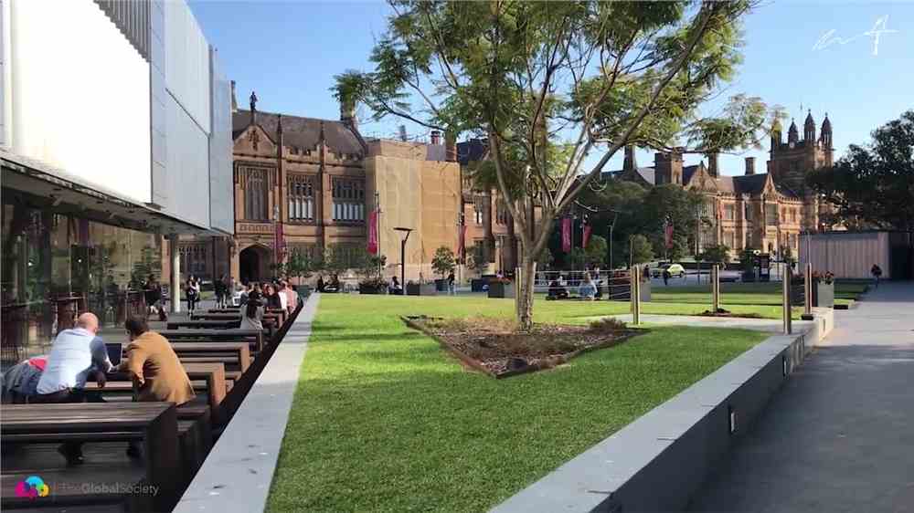 悉尼大学每年选修几门课程，2门课程少不少