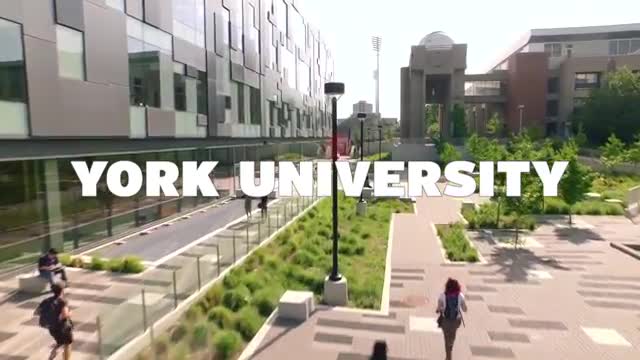 英国的约克大学怎么样，居然有这么多的好处