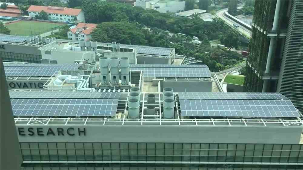 新加坡一年留学费用大概是多少