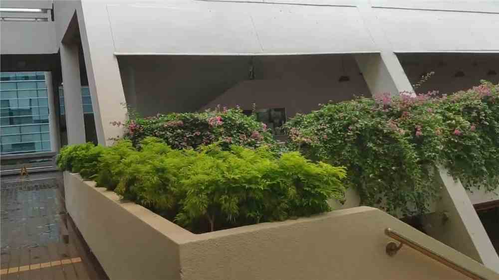 新加坡一年留学费用大概是多少