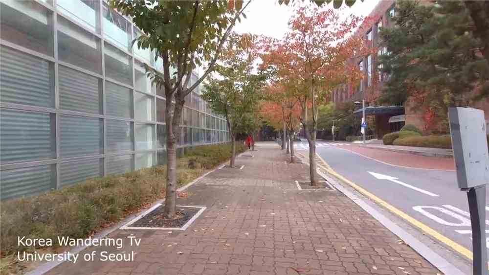 首尔大学研究生留学条件
