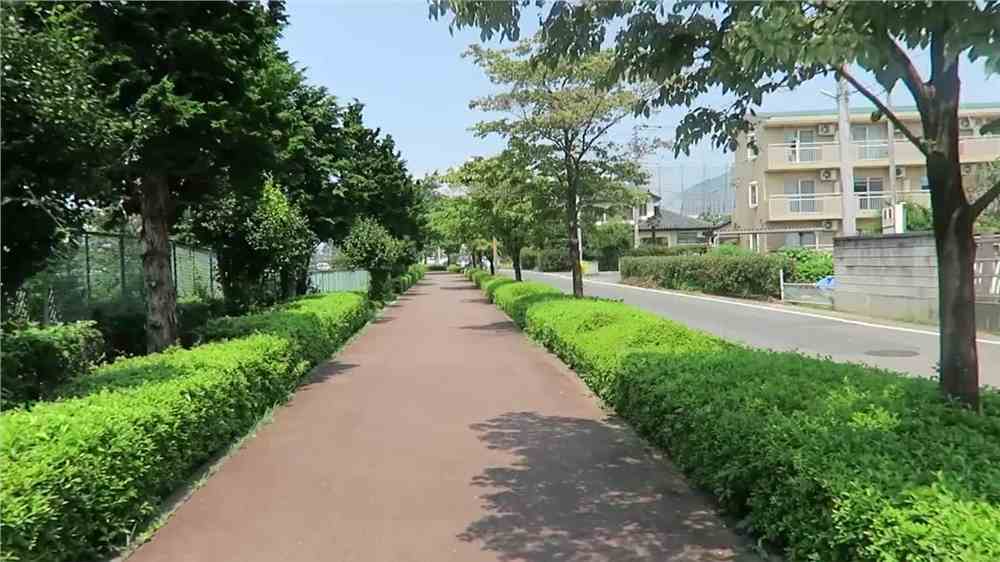 大连有哪些日本留学机构？