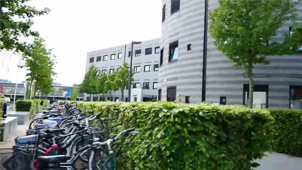 去荷兰留学怎么样？