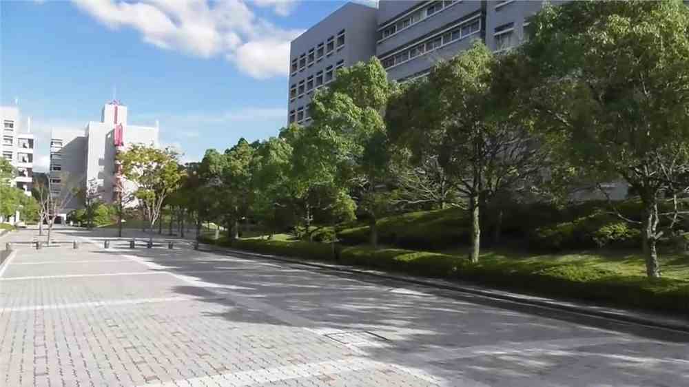 日本可以免费留学是真的吗？