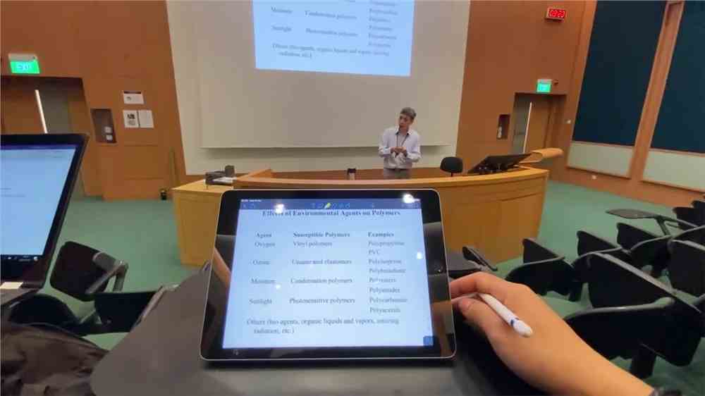 初中新加坡留学选学校