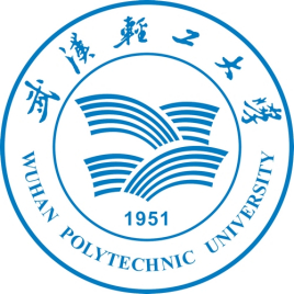 2021武汉轻工大学艺术类录取分数线汇总（含2019-2020历年）