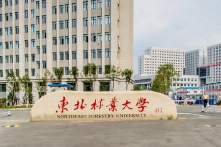 2021东北林业大学艺术类录取分数线是多少-各专业分数线