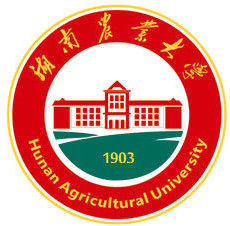 2021湖南农业大学艺术类录取分数线汇总（含2019-2020历年）