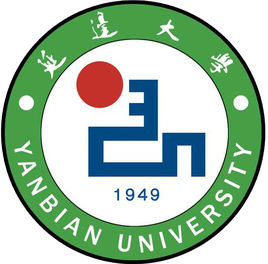 2021延边大学艺术类录取分数线汇总（含2019-2020历年）