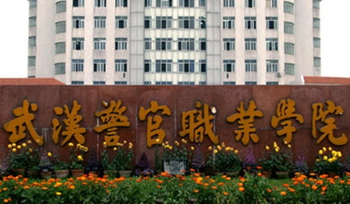 2021年武汉警官职业学院高职扩招分数线