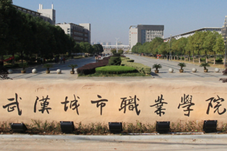 2019武汉城市职业学院单招分数线是多少？