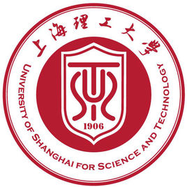 2021上海理工大学中外合作办学分数线（含2019-2020历年）