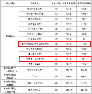 2021年绍兴职业技术学院中外合作办学分数线