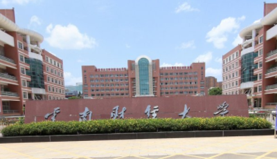 2021年云南财经大学中外合作办学分数线（含2019-2020历年）