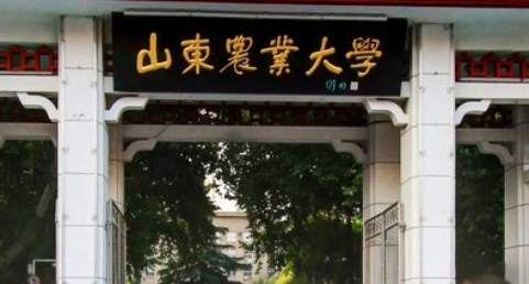 山东农业大学是几本_是一本还是二本大学？