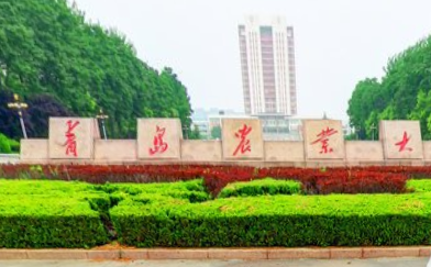 青岛农业大学是几本_是一本还是二本大学？