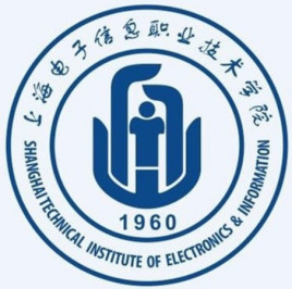 2021上海电子信息职业技术学院中外合作办学招生专业介绍