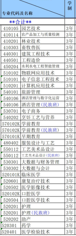 黔东南民族职业技术学院有哪些专业-什么专业比较好