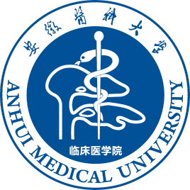 安徽医科大学临床医学院一流本科专业建设点名单1个【一流专业名单】