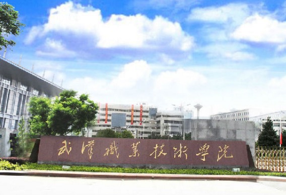 武汉职业技术学院王牌专业有哪些