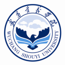 武昌首义学院王牌专业有哪些