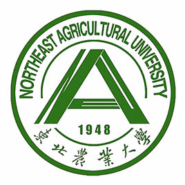 2021东北农业大学中外合作办学学费多少钱一年-各专业收费标准