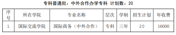 2021山东管理学院中外合作办学学费多少钱一年-各专业收费标准
