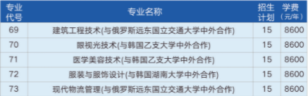 2021济宁职业技术学院中外合作办学学费多少钱一年-各专业收费标准