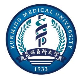 2021昆明医科大学中外合作办学学费多少钱一年-各专业收费标准