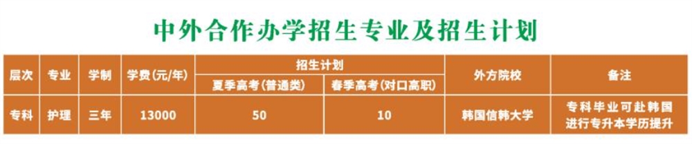 2021潍坊护理职业学院中外合作办学学费多少钱一年-各专业收费标准
