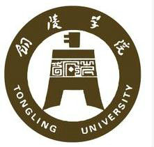 2021年铜陵学院录取规则