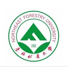 东北林业大学双一流学科名单有哪些及学科评估排名（2个）