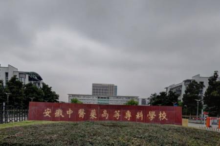 安徽中医药高等专科学校地址在哪里_校区详细地址