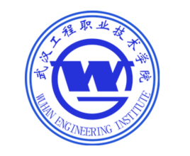 武汉工程职业技术学院在哪里，哪个城市，哪个区？