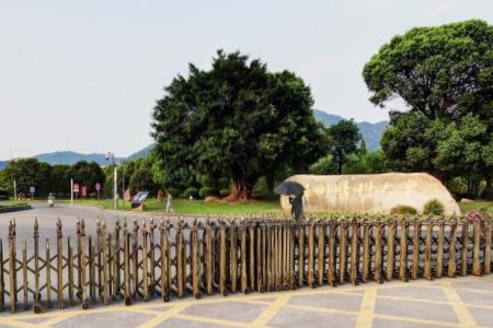 温州医科大学仁济学院在哪里，哪个城市，哪个区？