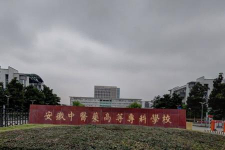 安徽中医药高等专科学校奖学金有多少？怎么申请？