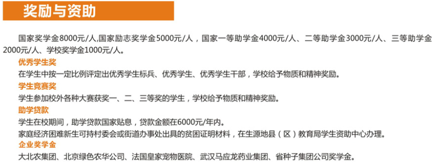 湖北生物科技职业学院奖学金有多少？怎么申请？