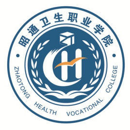 昭通卫生职业学院奖学金有多少？怎么申请？