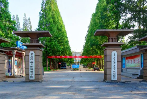 青岛农业大学学费多少钱一年-各专业收费标准