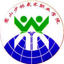 嵩山少林武术职业学院学费多少钱一年-各专业收费标准