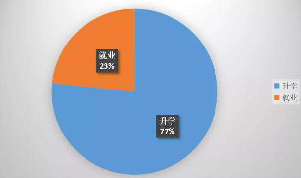 南方科技大学数学系2021届本科毕业生升学就业情况