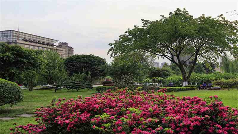 西南石油大学是一本吗