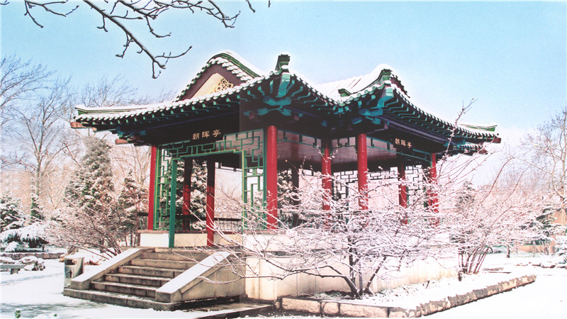 山师考研复试刷人多么