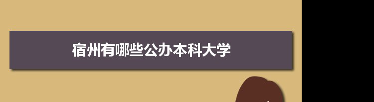 2021年宿州有哪些公办本科大学及分数线,附具体名单(1所）