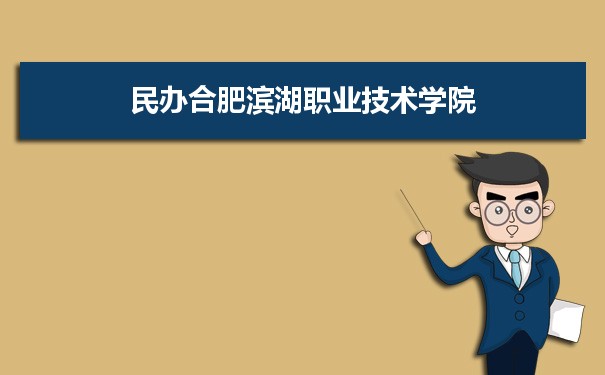 2021年民办合肥滨湖职业技术学院有哪些专业,具体院系和比较好的专业名单