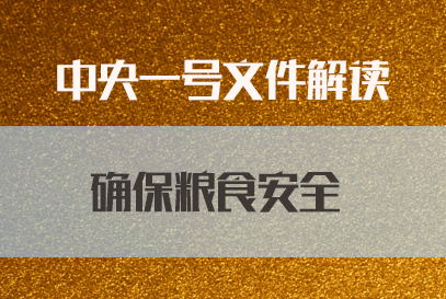 粮食储运与质量安全_粮食储备与质量安全_粮食储运质量安全标准