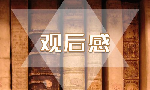 最新《冬奥中国年》学生观后感精选范文3篇