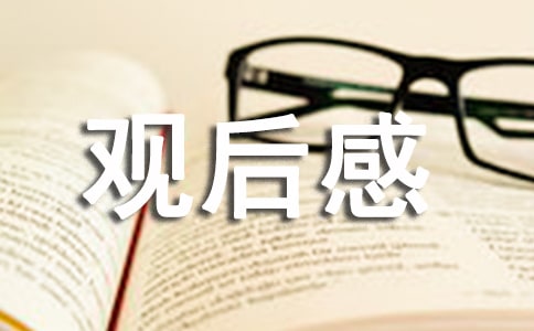 关于大国工匠观后感精选范文3篇